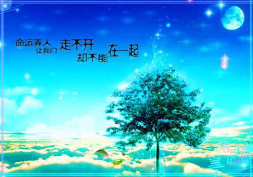【精华】qq空间正能量的句子锦集36句