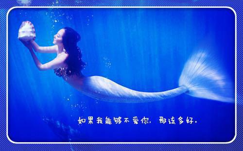 2021年简短的人生哲理语句合集56条