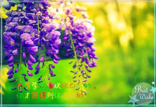 青春的经典格言：玉带暂时华,金钗非久饰