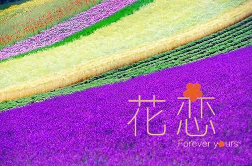 2020年精选微信励志签名汇编48条