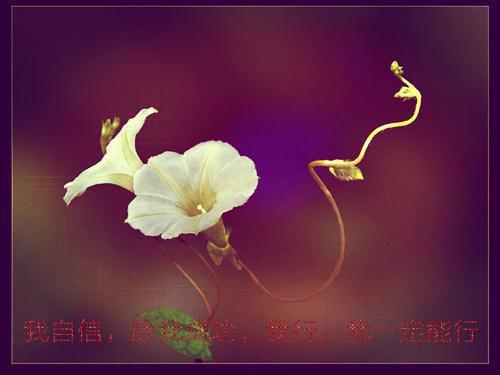 关于雨水的农业谚语