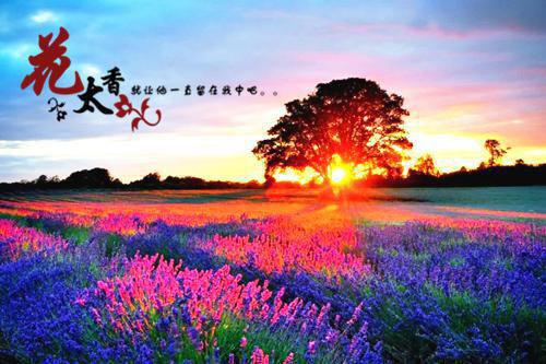 关于播音主持必练绕口令精选