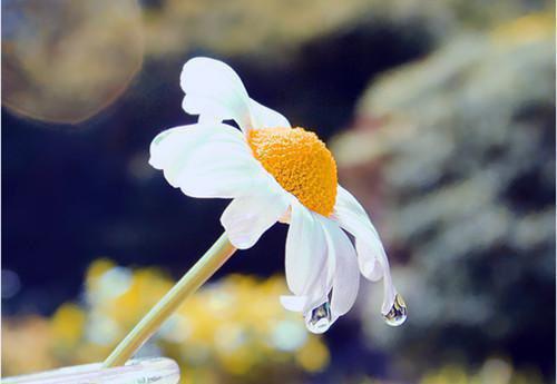 有关下雨天悲伤的句子