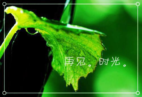 大学生的实习日记11篇