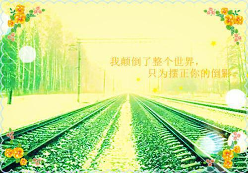 外国名人关于尊严的名言