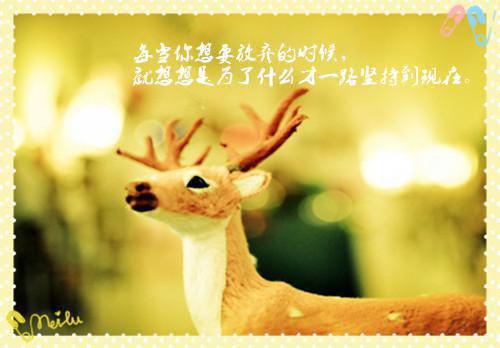 感人表白的情书（精选20篇）