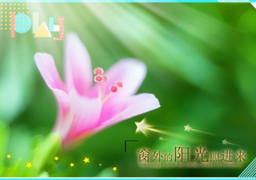 我喜欢的一则教育人生的格言