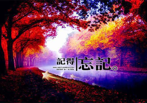 只弹琴不谈情情感美文