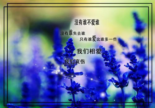 夏七夕小说经典语录