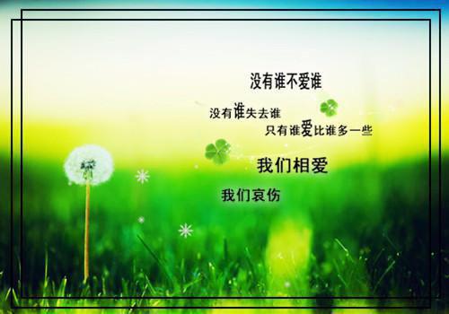 关于成功必背的经典励志名言短句大全