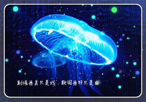 10个月宝宝睡前故事