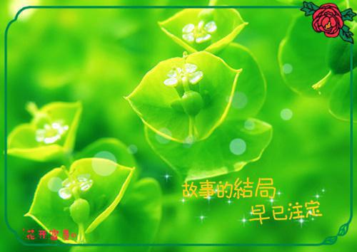 北京爱情故事的感人语录