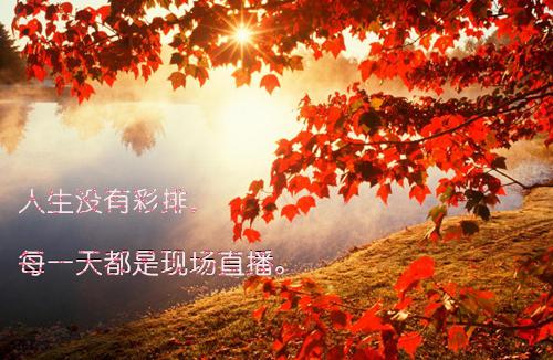 电视剧裸婚时代经典台词