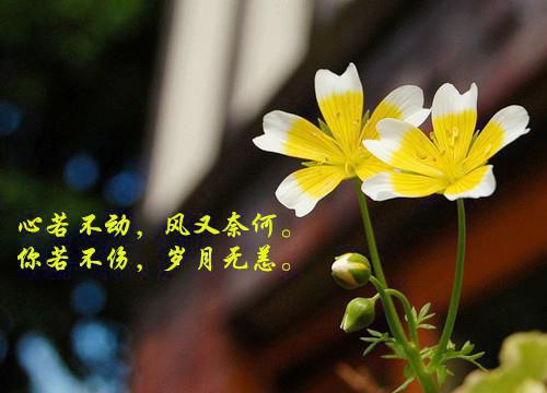 微博今日心情个性心情句子
