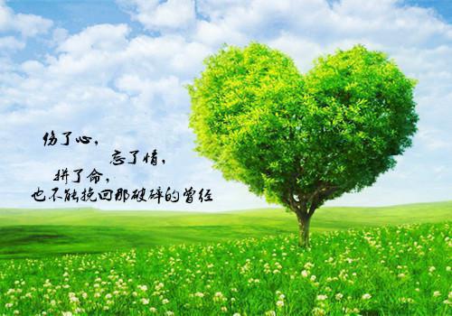中國皇帝的中國故事500字