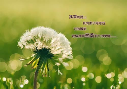 二年级的童话故事阅读