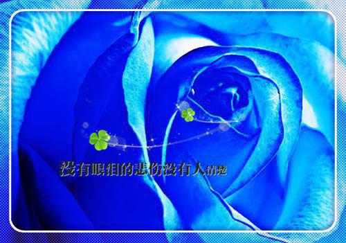 【热门】生活记事作文集合5篇