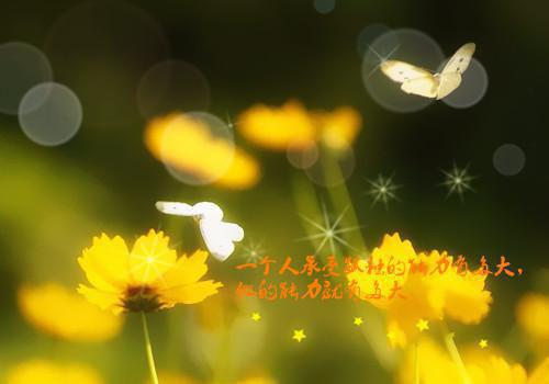 牛年春联对联