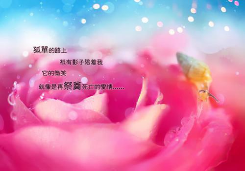 適合給幼兒園大班孩子講的大班的故大班故事幼兒園大班故事早教小故事