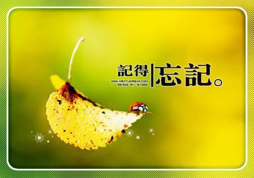 描写忧郁心情的句子