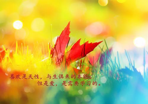 有关父爱的名人名言父爱是阳光让我们健康的成长