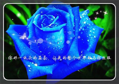 忠实和不忠实的忠实忠实费迪南的故事