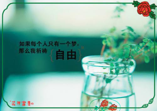 爸爸的爱好作文四篇