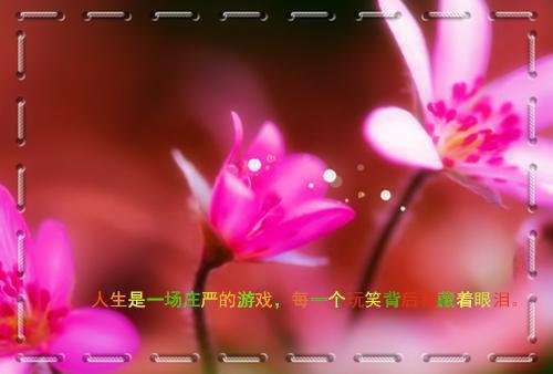 表达心凉的唯美句子