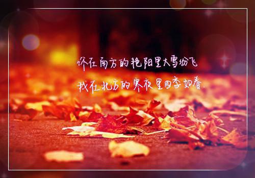 悄悄爱着你散文