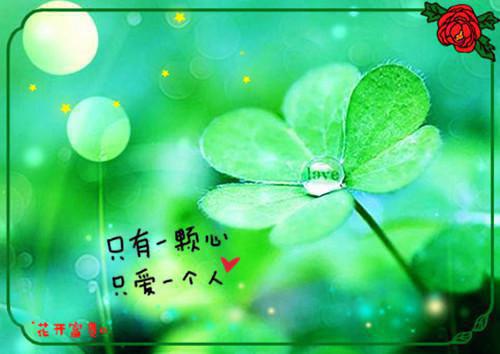 精品爱情散文