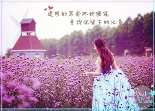 821343小说免费阅读