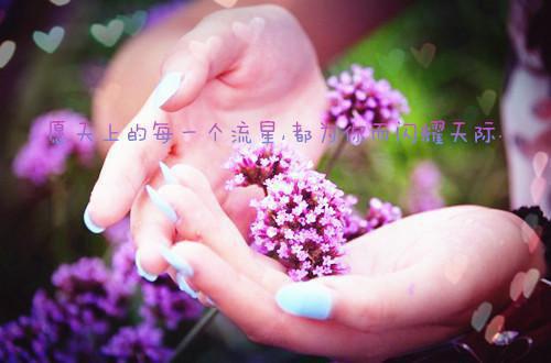 毕竟西湖六月中全诗