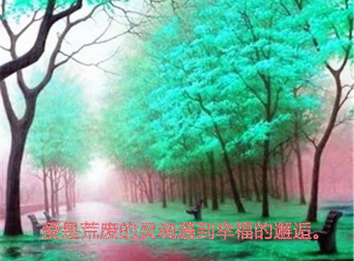 《寒夜》读后感范文5篇