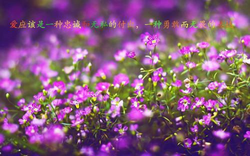 真爱感言