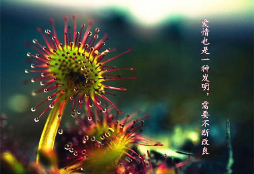 关于信心励志名人名言警句