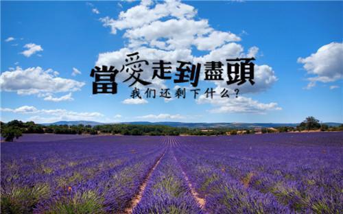 表白情书大全500字