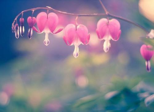 祝老师节日快乐的藏头诗集锦
