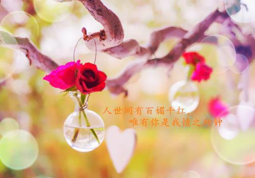 爱与喜欢的定义!