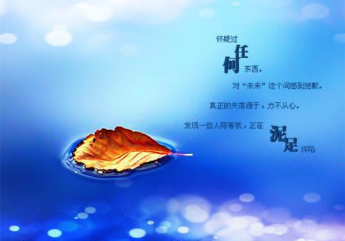 穿书之我要退婚楚乔顾轻舟最新章节完整版小说阅读
