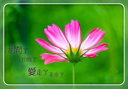 爱似清风苦雨前文+后续全文小说赵成州沈繁星小说在线阅读