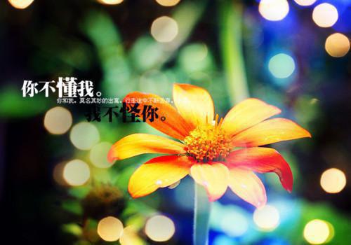 2021年有关励志的对联汇编92条