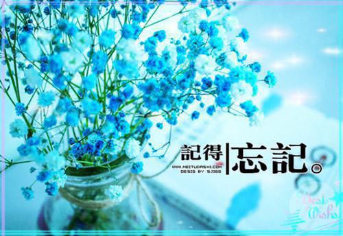 送给我未来的老婆，轻轻的求婚声(歌词版)