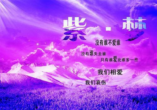 关于描写森林的好词好句