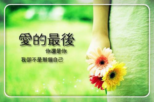 有关朋友圈唯美句子汇总72句