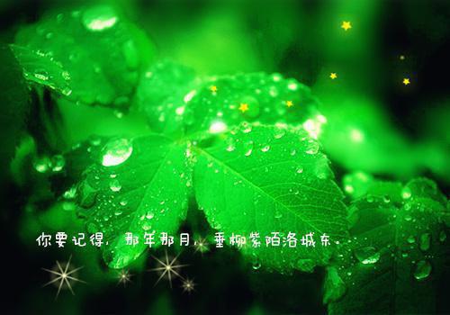 圣诞贺卡祝福语
