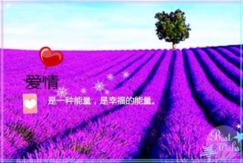 清明怀念烈士寄语（精选90句）