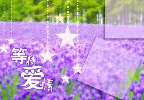 孤岛玉兔小说全文免费阅读(林余安缪乐晴)全文在线林余安缪乐晴阅读无弹窗大结局_(孤岛玉兔小说林余安缪乐晴)孤岛玉兔小说在线林余安缪乐晴阅读无弹窗最新章节列表(林余安缪乐晴)