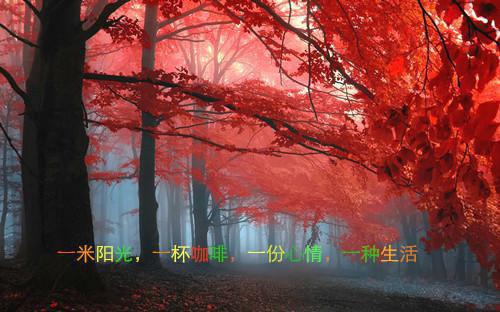 治愈系经典励志语录摘抄