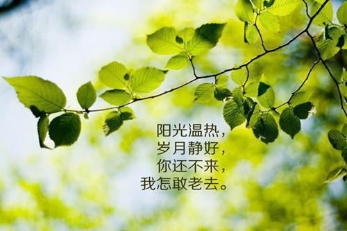 夏天的夏天故事600字作文
