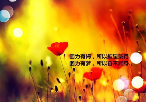励志一点的句子说说心情